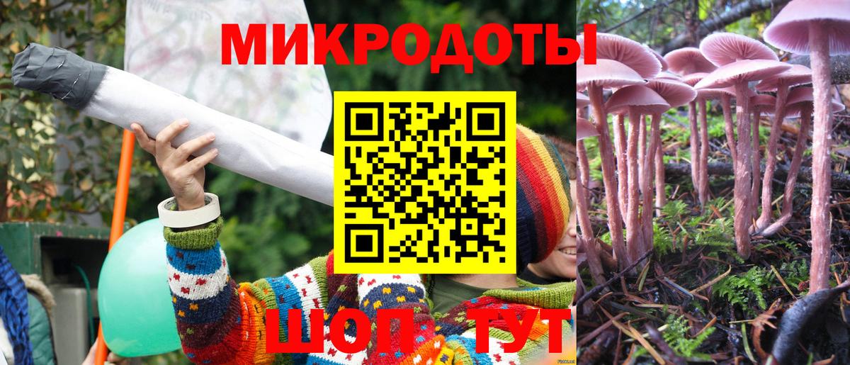 Павлово  Галлюциногенные грибы GOLDEN TEACHER  Вход с VPN  Галлюциногенные грибы Psilocybe 